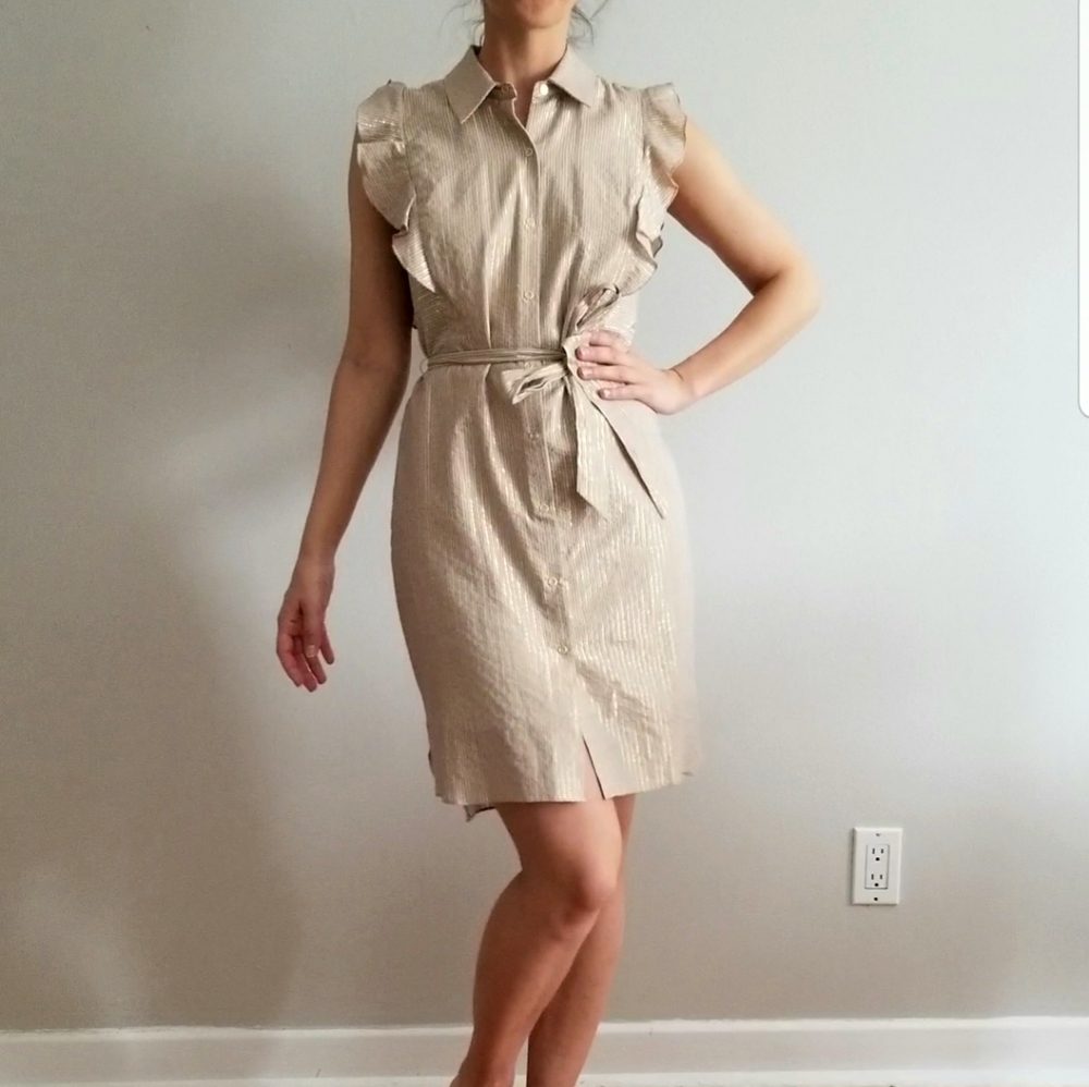 Tahari beautiful dress XS 0